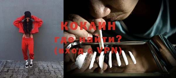 PSILOCYBIN Белокуриха