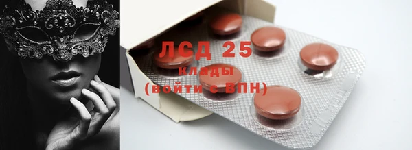 PSILOCYBIN Белокуриха