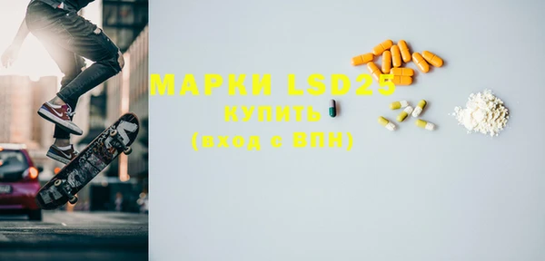 PSILOCYBIN Белокуриха