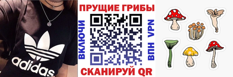 Галлюциногенные грибы MAGIC MUSHROOMS  Билибино 